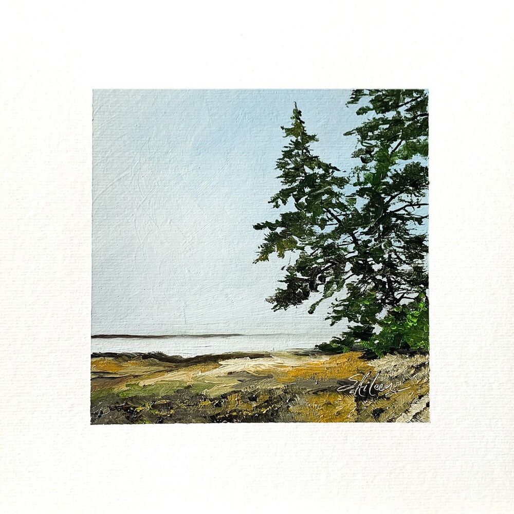 8x8 Maine Original Oil Painting Acadia Coastal Pinetrees Atlantic Ocean Signed